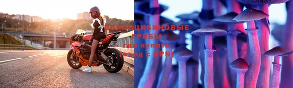 скорость Алексин