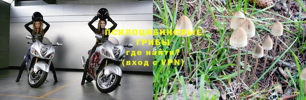 спайс Алзамай