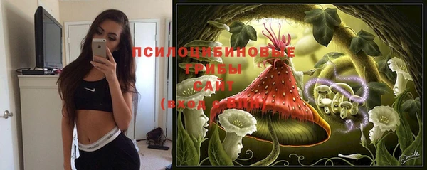 скорость Алексин