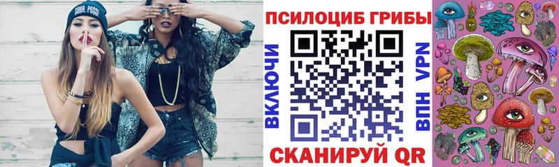 сколько стоит  Одинцово  дарк нет Telegram  Галлюциногенные грибы Psilocybine cubensis 